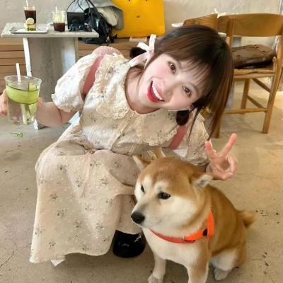 红鼻子驯鹿鲁道夫
